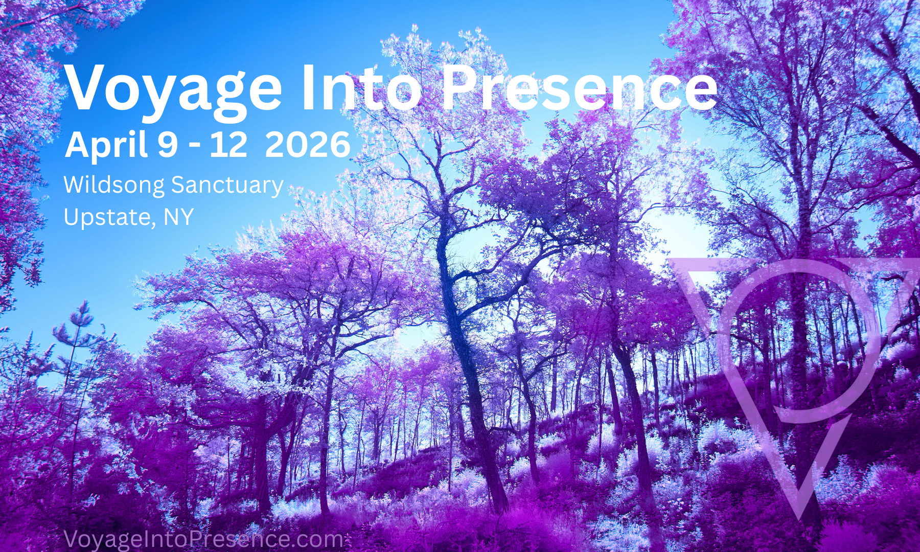 Voyage Into Presence | Upstate, NY